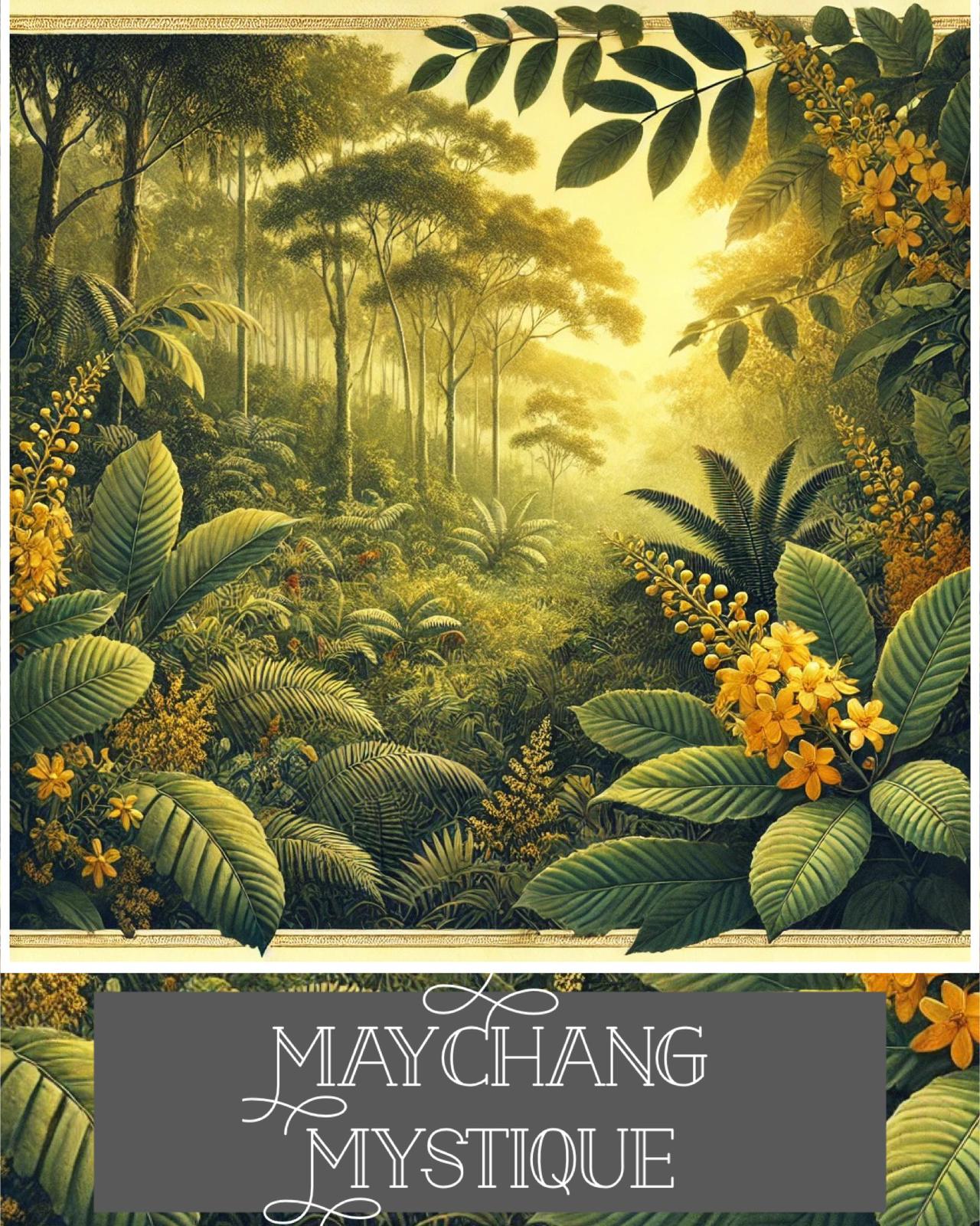 11ml MayChang Perfume Roll-On – Zesty, Uplifting, & Bursting with Joy