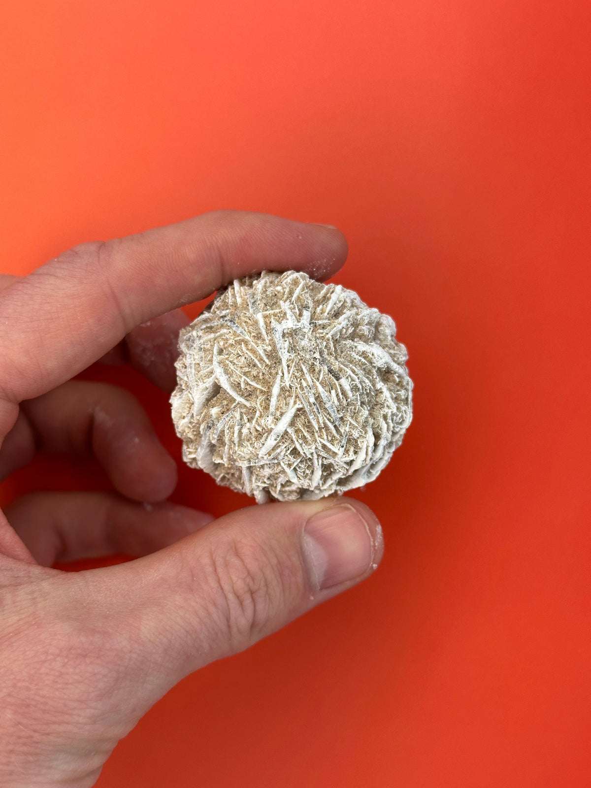 Desert rose - Rough/raw