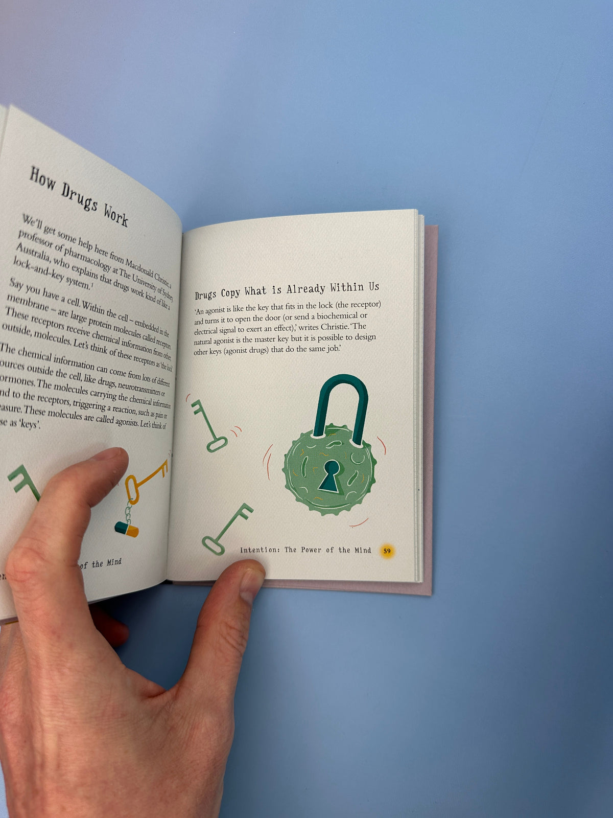 The Little Book of Reiki