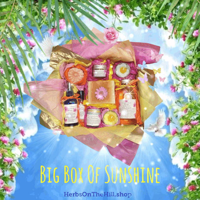 A Big Box of Sunshine ☀️
Lifting Your Spirits, Rain or Shine 🌦️