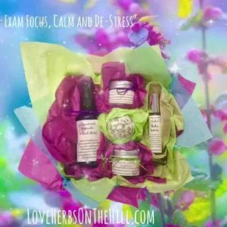 Exam & Stress Survival Kit