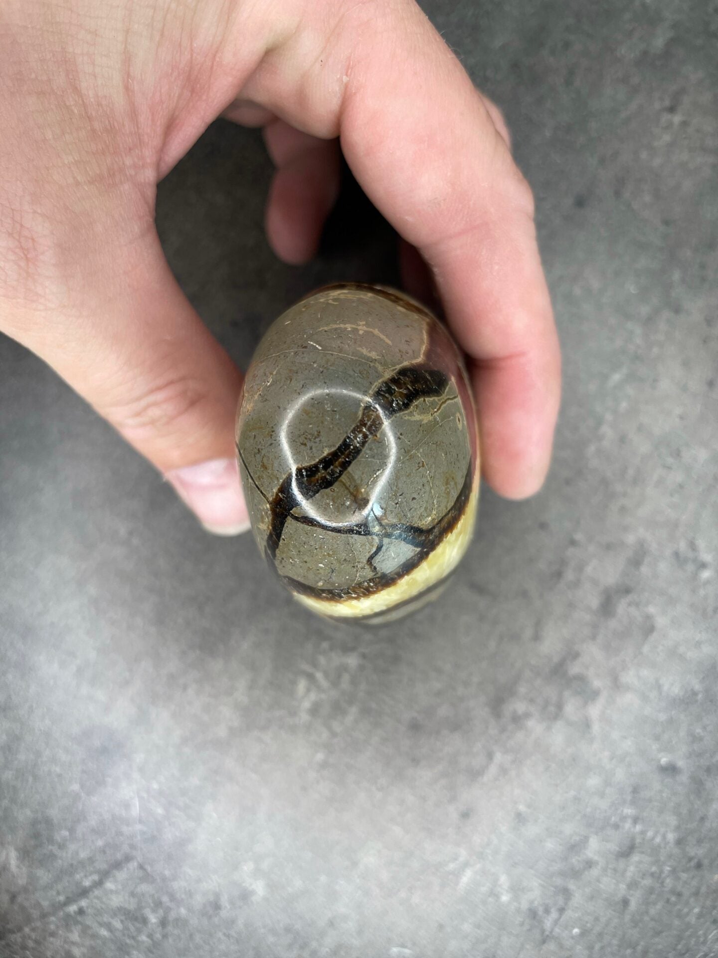 Septarian - Free form