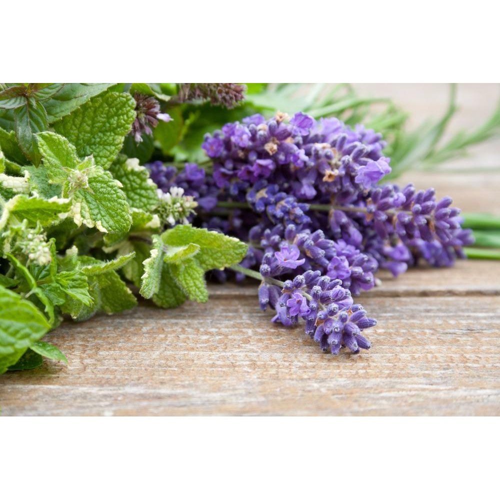 Lavender & Mint Foam Bath & Shower Gel - Cool, calm, and collected