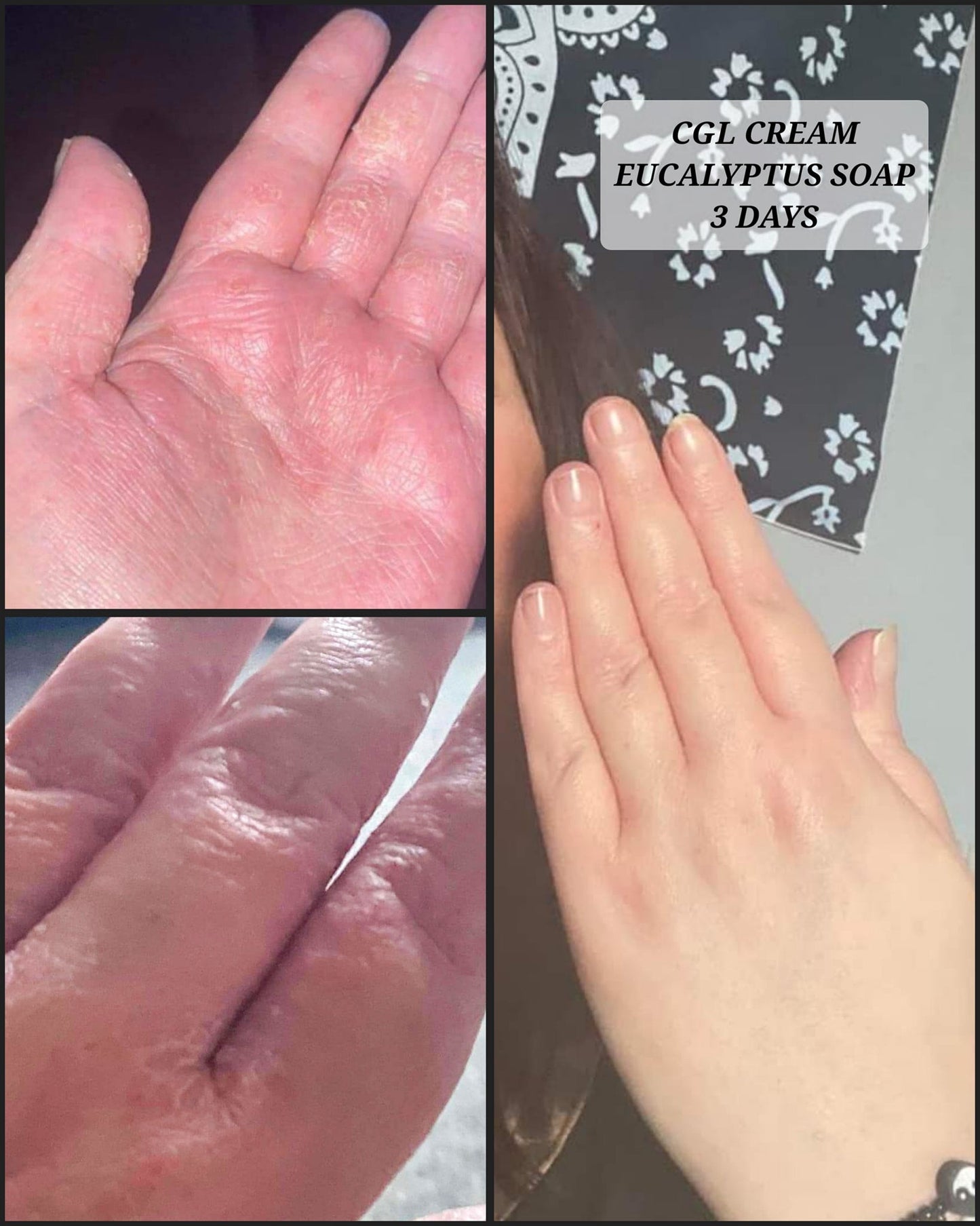 Chamomile Geranium & Lavender Cream - Transform Your Skin, Transform Your Life!