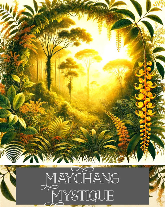 11ml MayChang Perfume Roll-On  – Zesty, Uplifting, &amp; Bursting with Joy