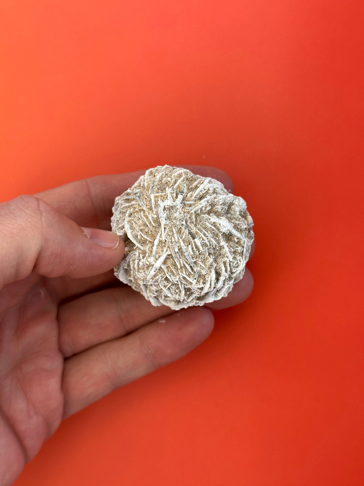 Desert rose - Rough/raw