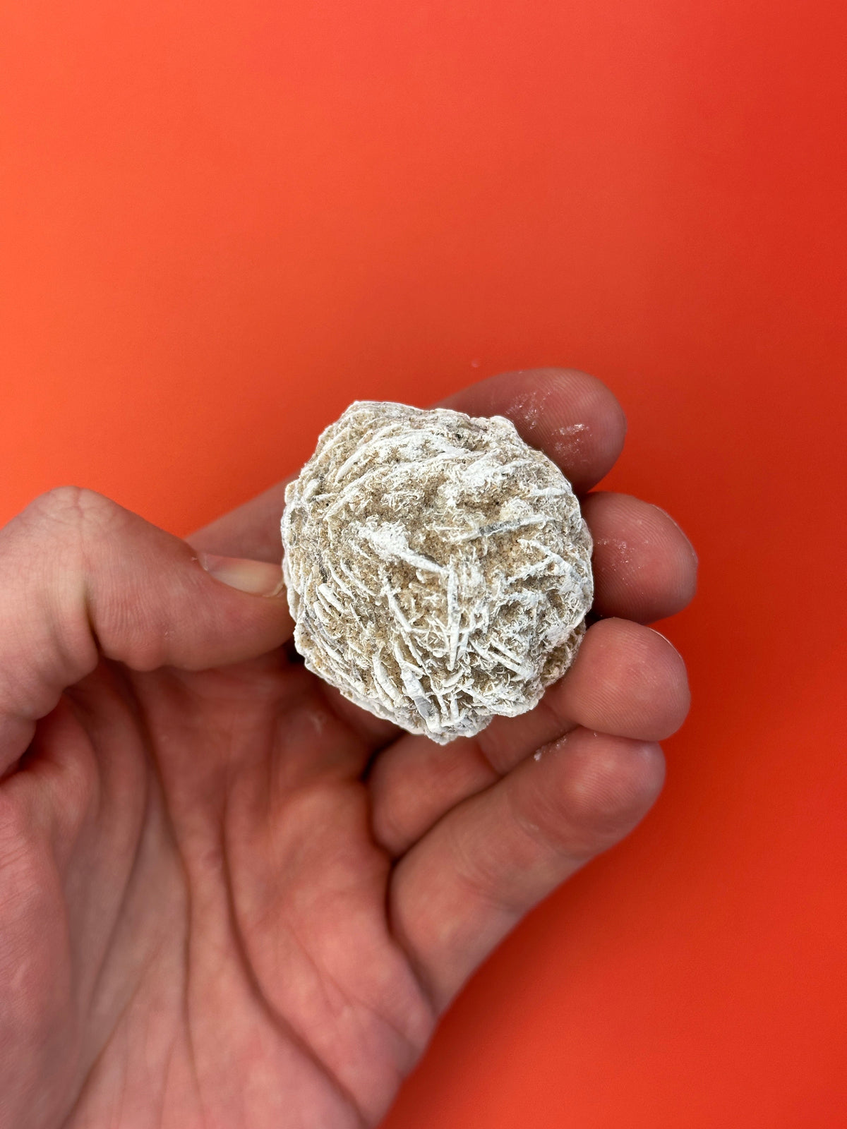 Desert rose - Rough/raw
