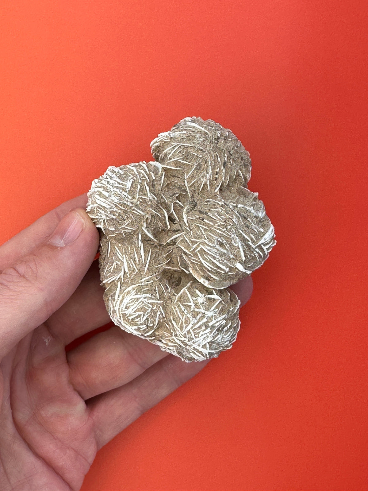 Desert rose - XL Raw cluster