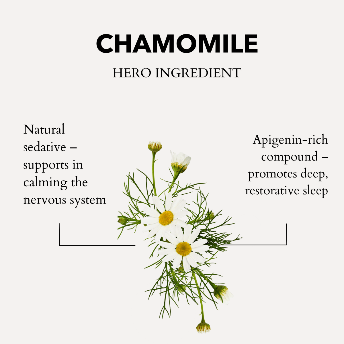 Calming Bath & Shower Oil with Roman Chamomile – Sleep & Stress Relief