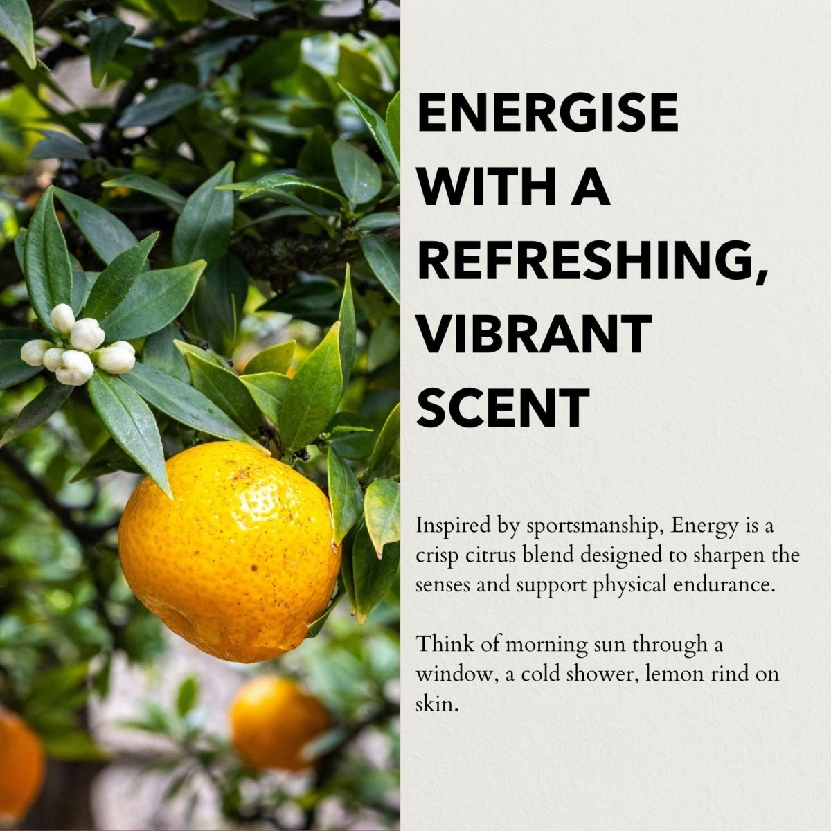 Energy Functional Parfum
