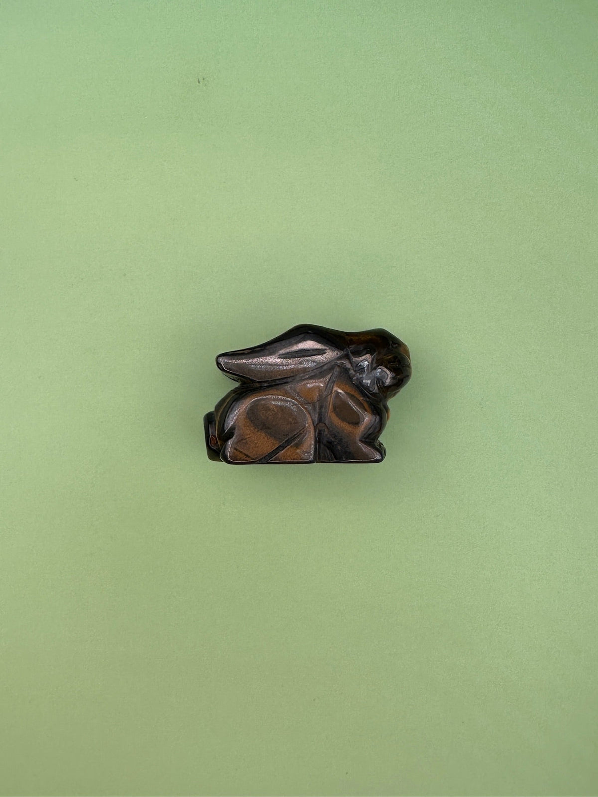 Tigers eye - Rabbit