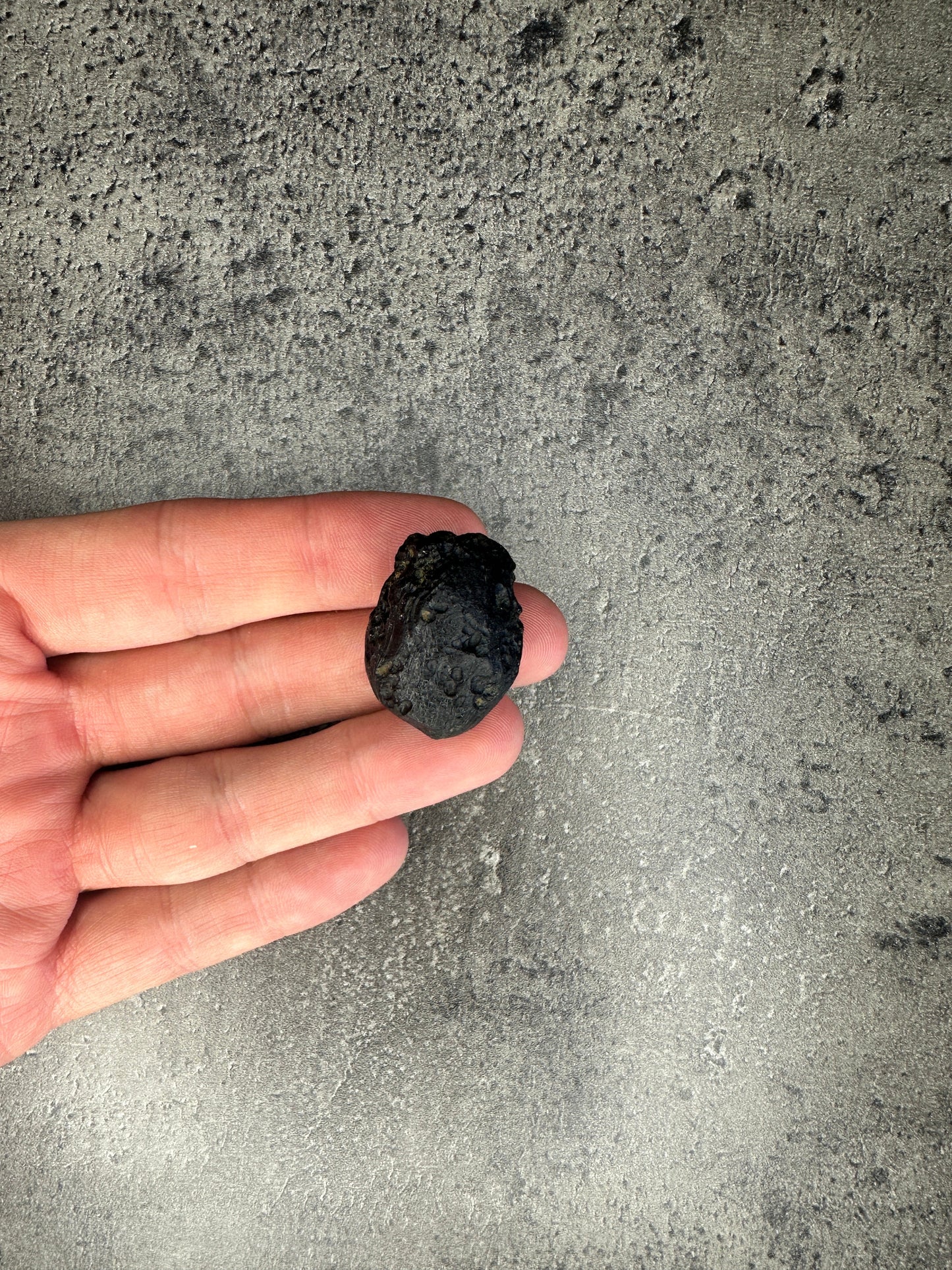 Tektite - Specimen