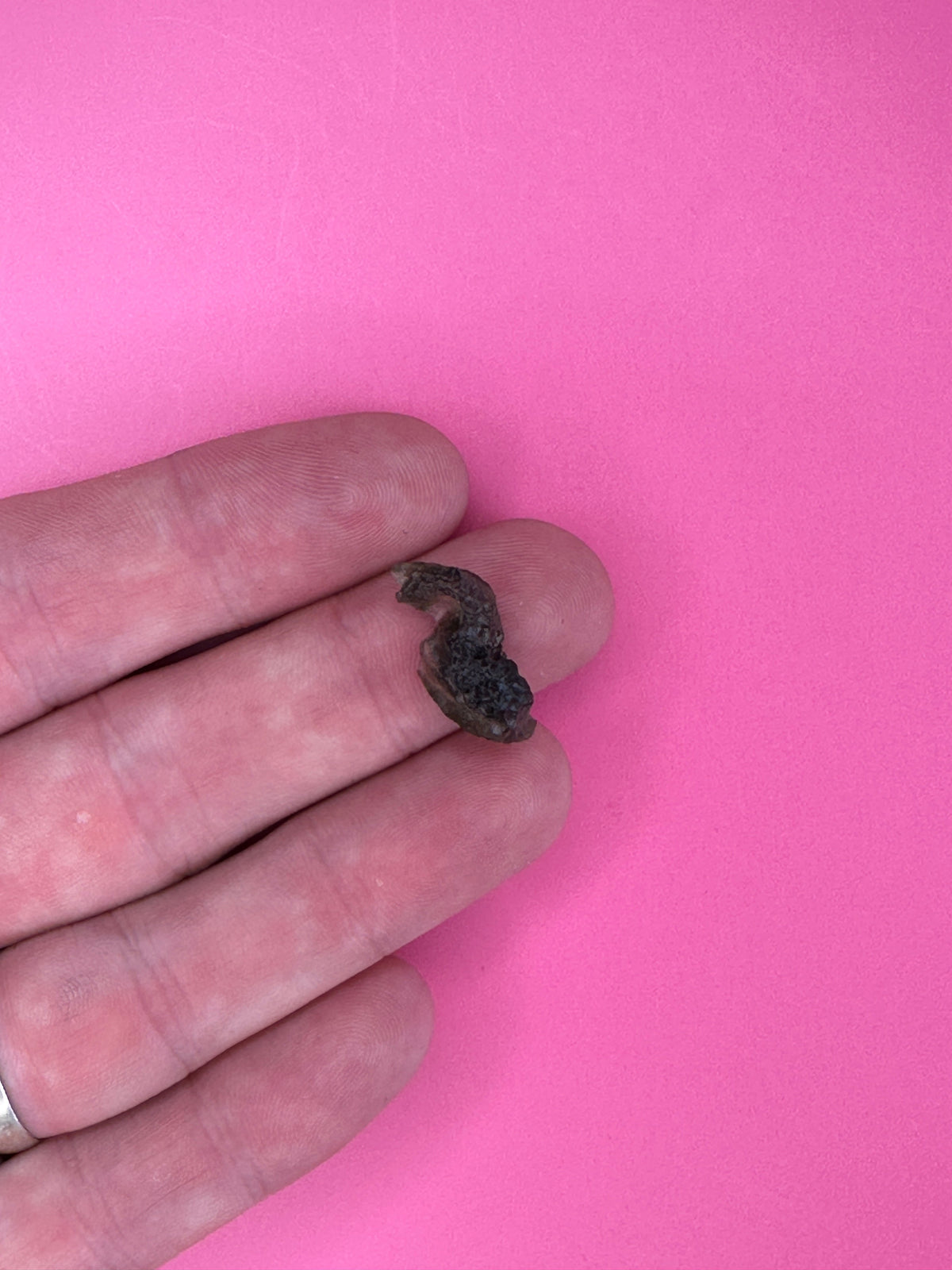 Moldavite - Rough/raw pieces