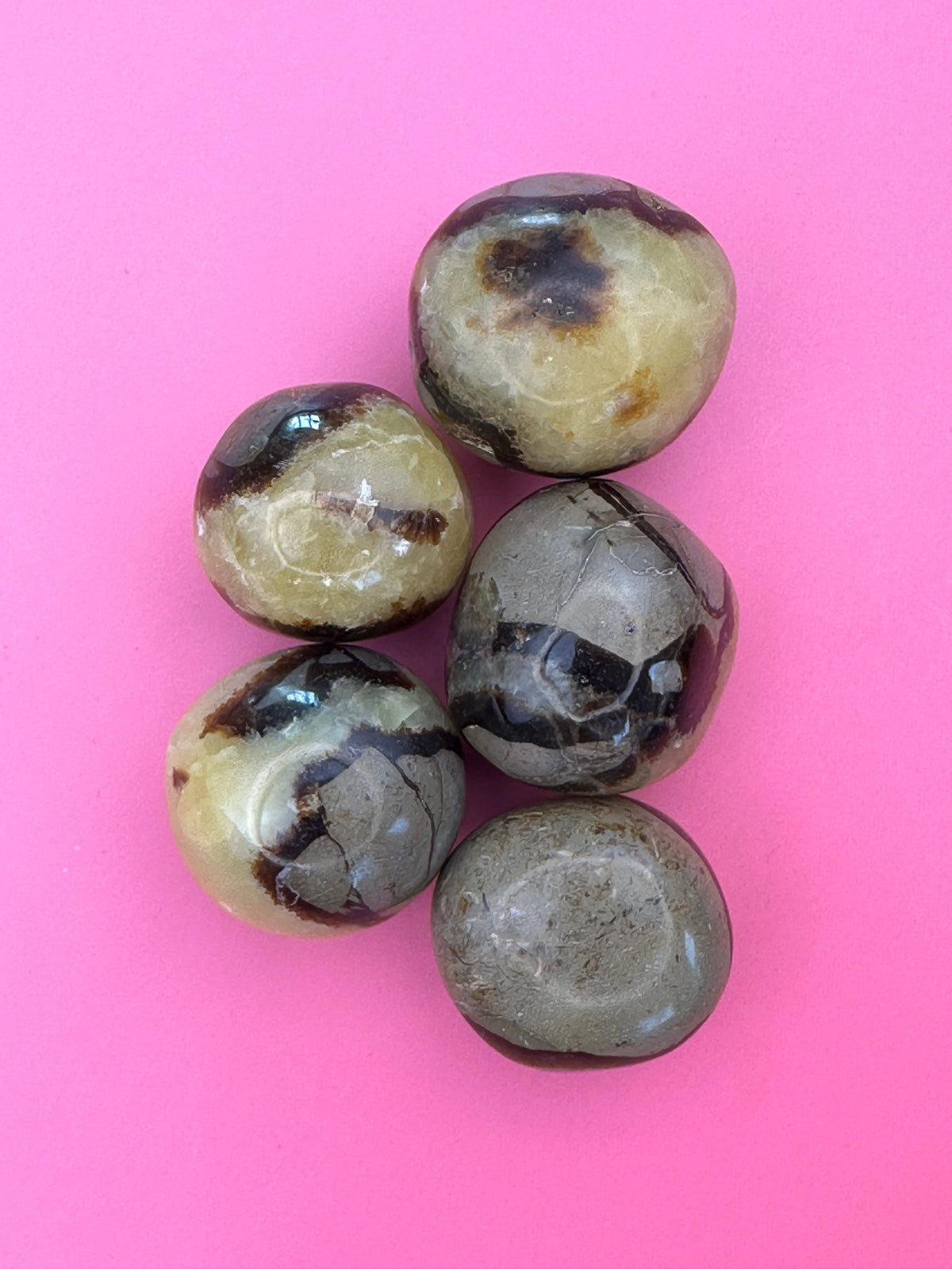 Septarian - Tumblestone