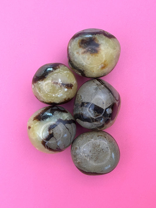 Septarian - Tumblestone