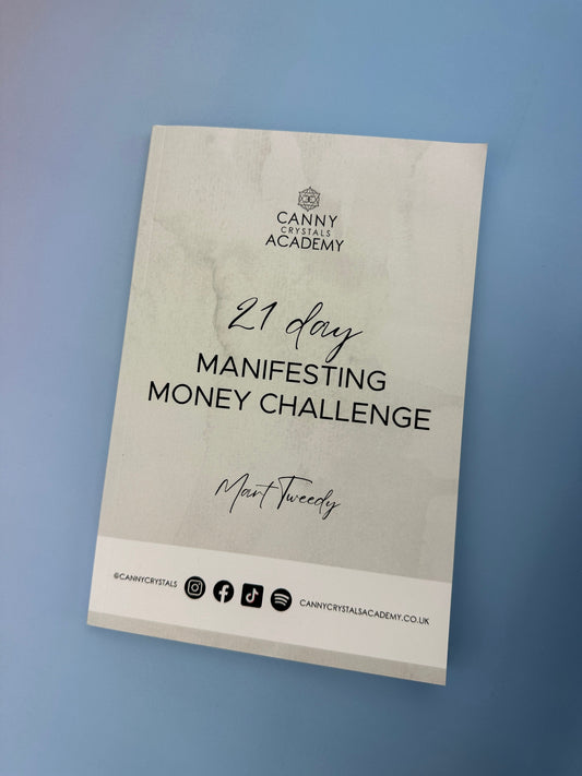 21 Day Manifesting Money Challenge Workbook