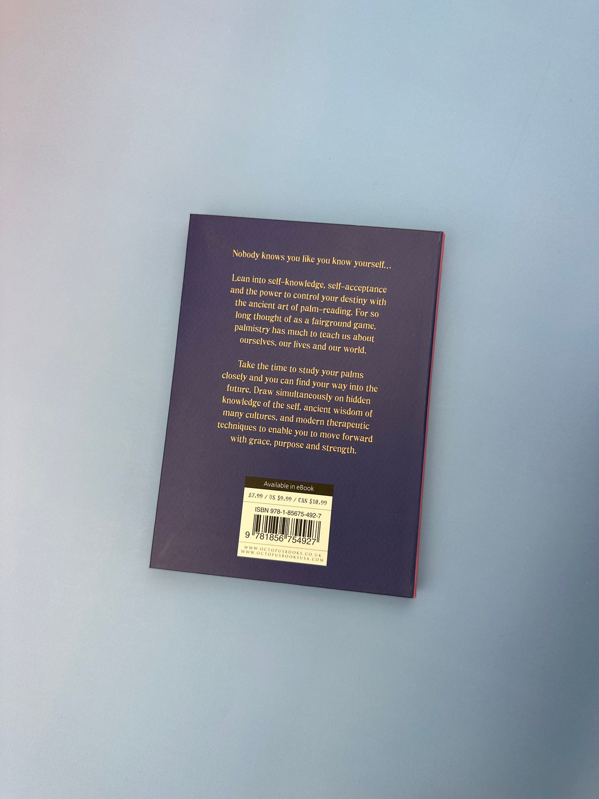 The Little Book of Palm Reading