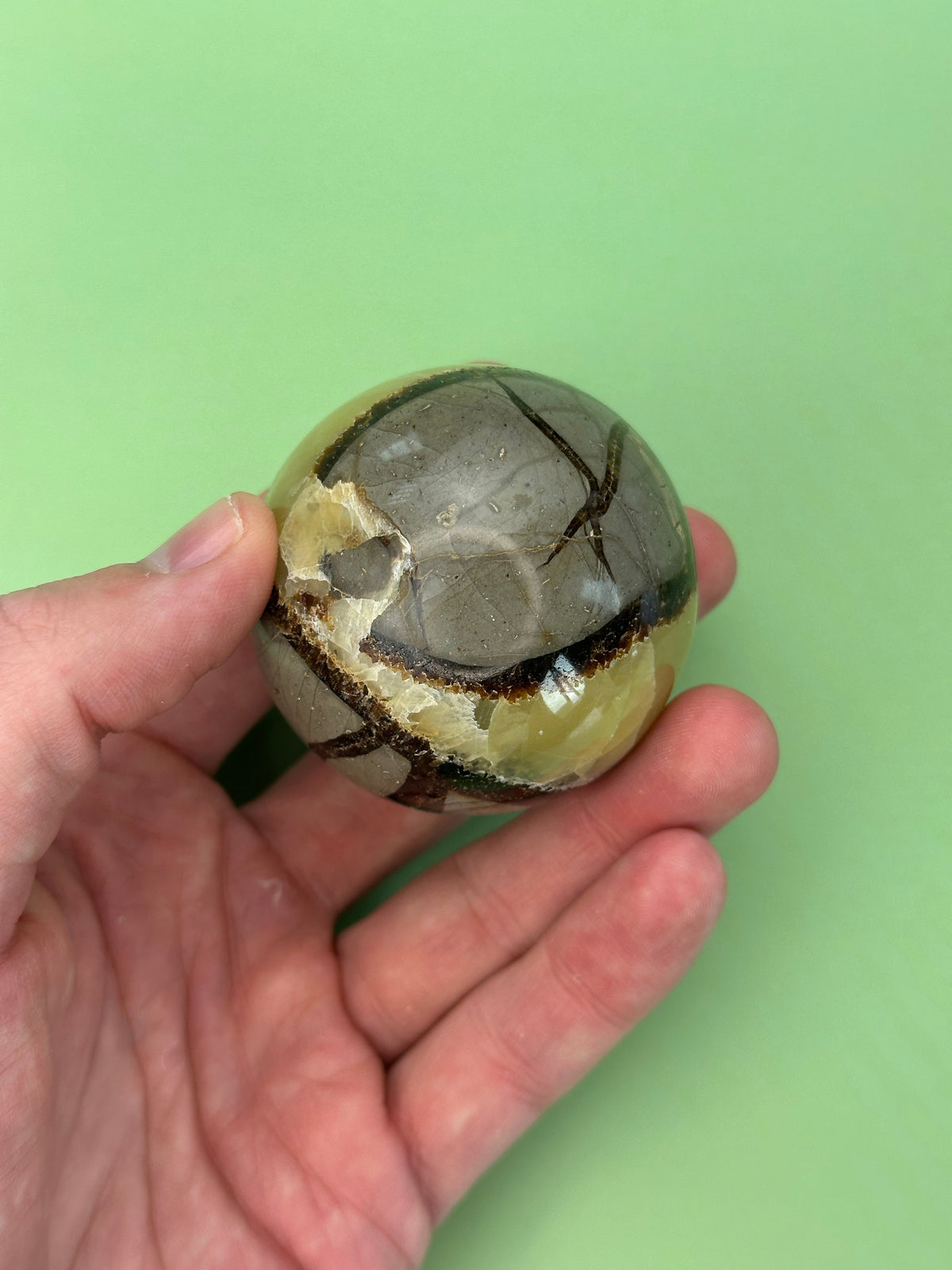 Septarian - Large sphere