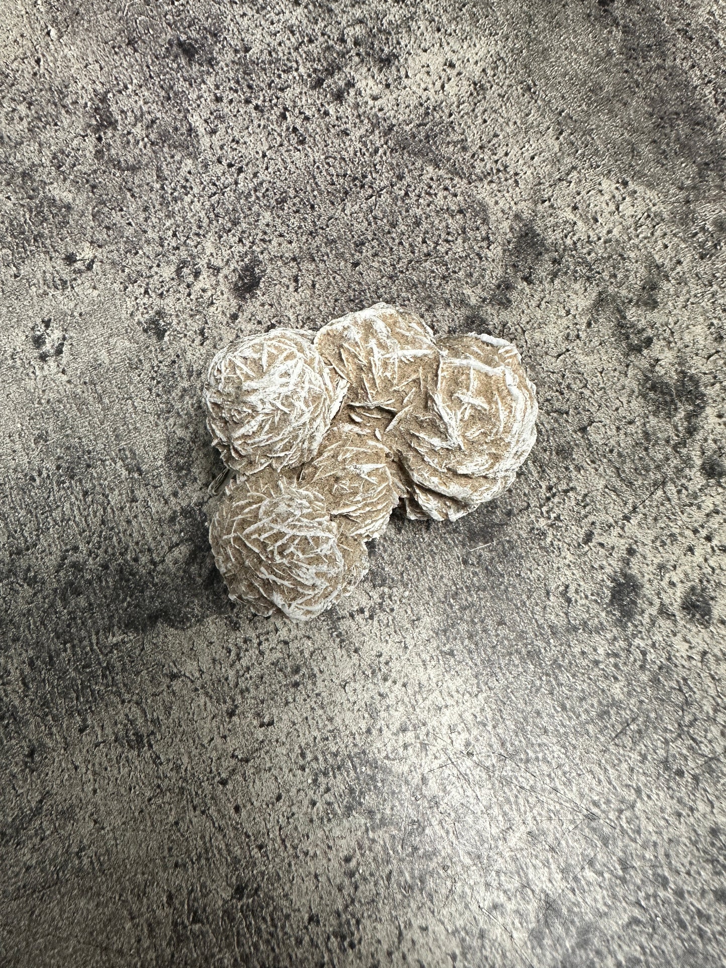 Desert rose - XL Raw cluster