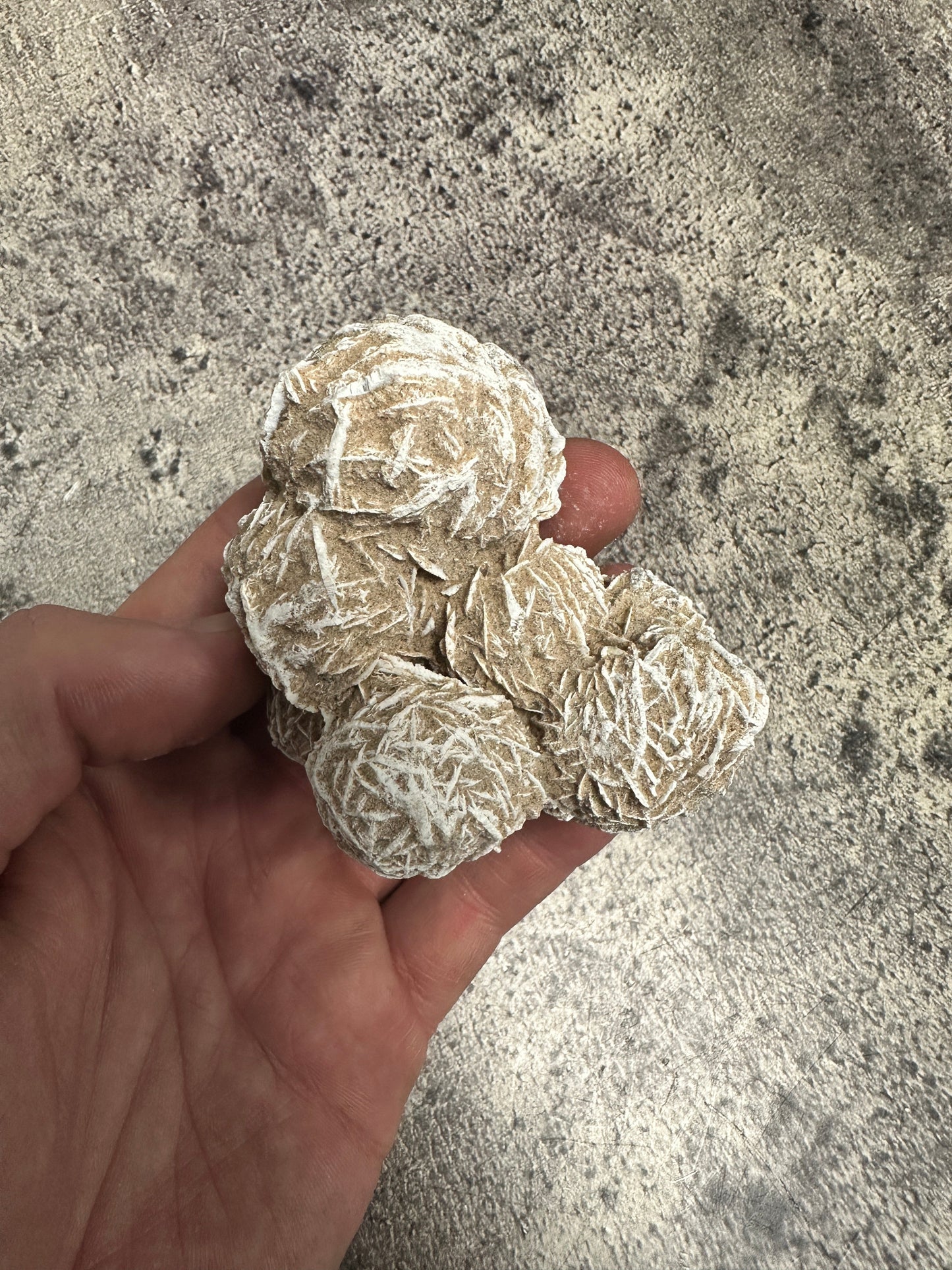 Desert rose - XL Raw cluster