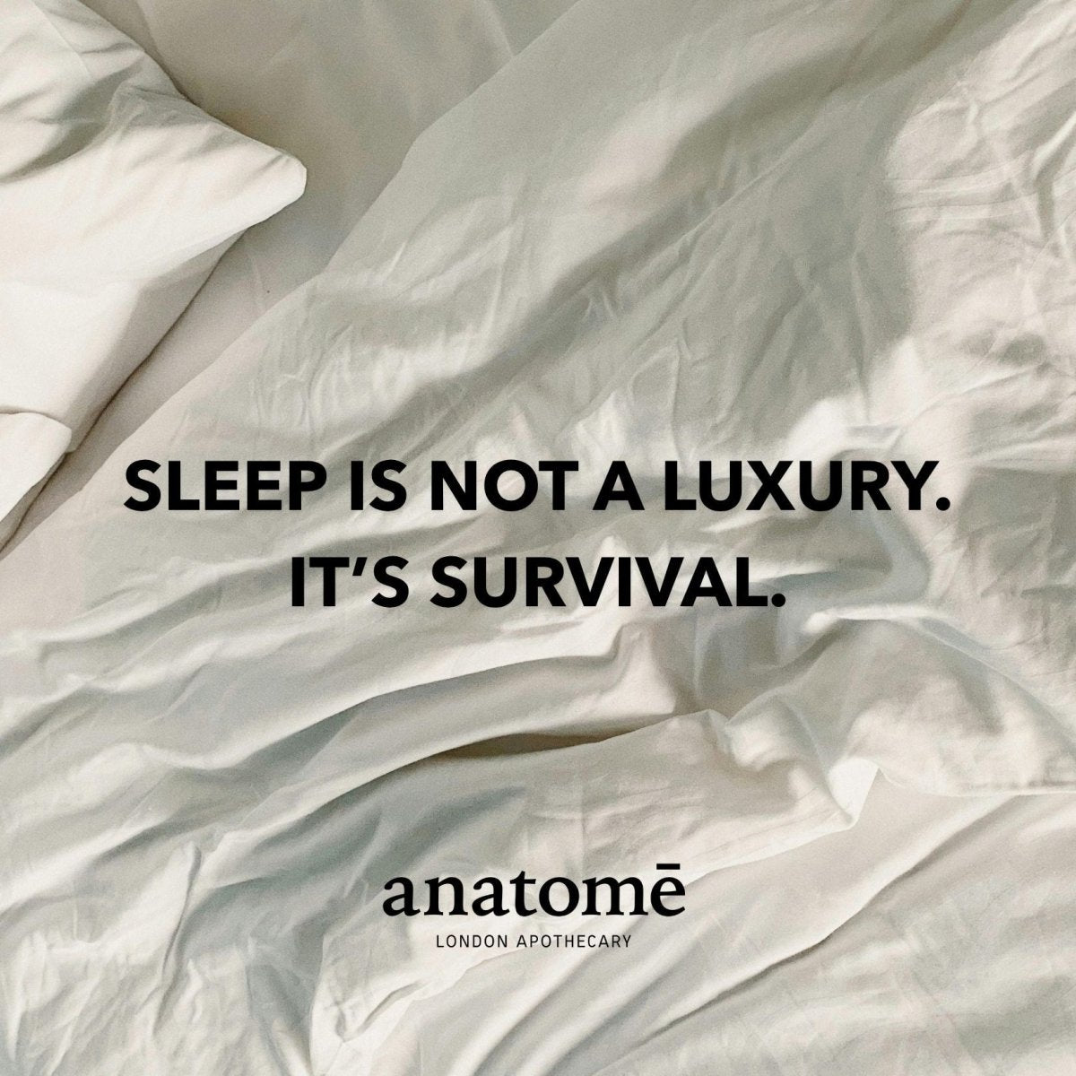 Stressed Mind  Sleep Oil | Lavender Complex