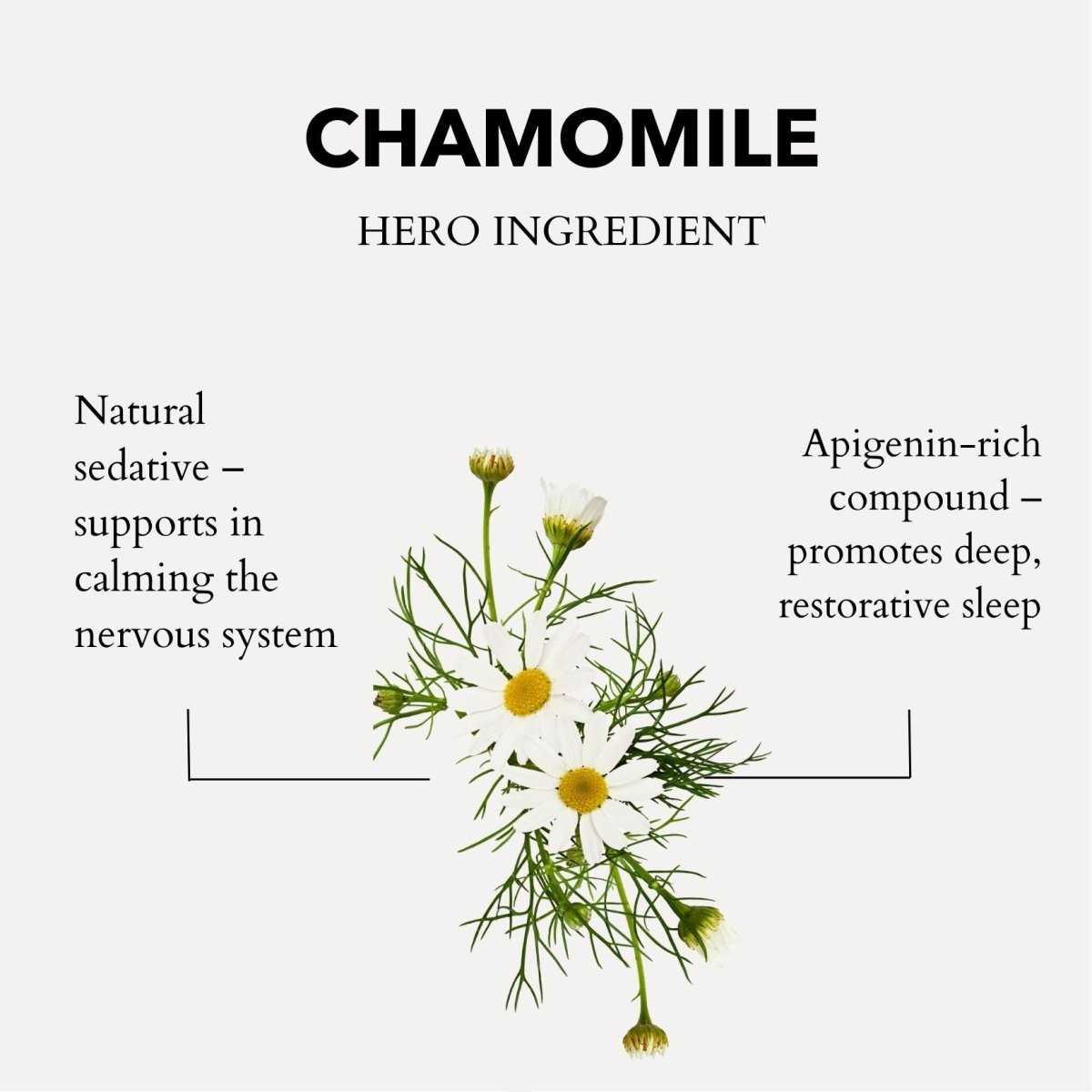 Roman Chamomile Pillow Spray 50ml