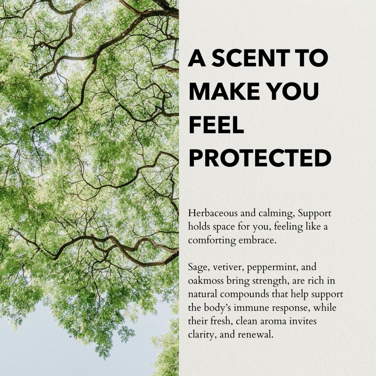 Support Functional Parfum  10ml