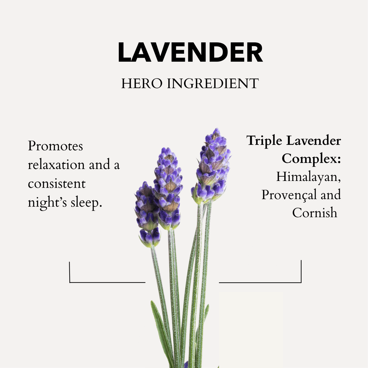 The Gift of Good Sleep | Cornish Lavender