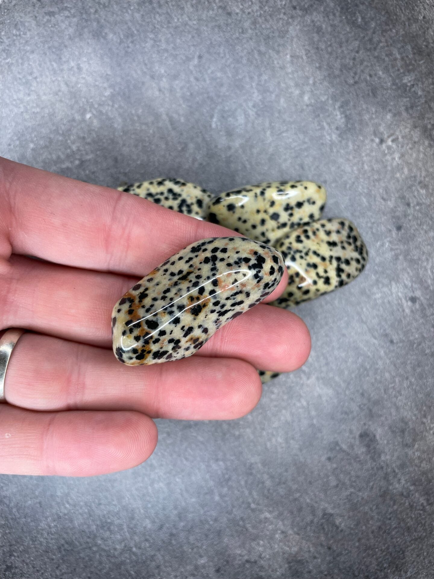 Dalmatian jasper - Tumblestone