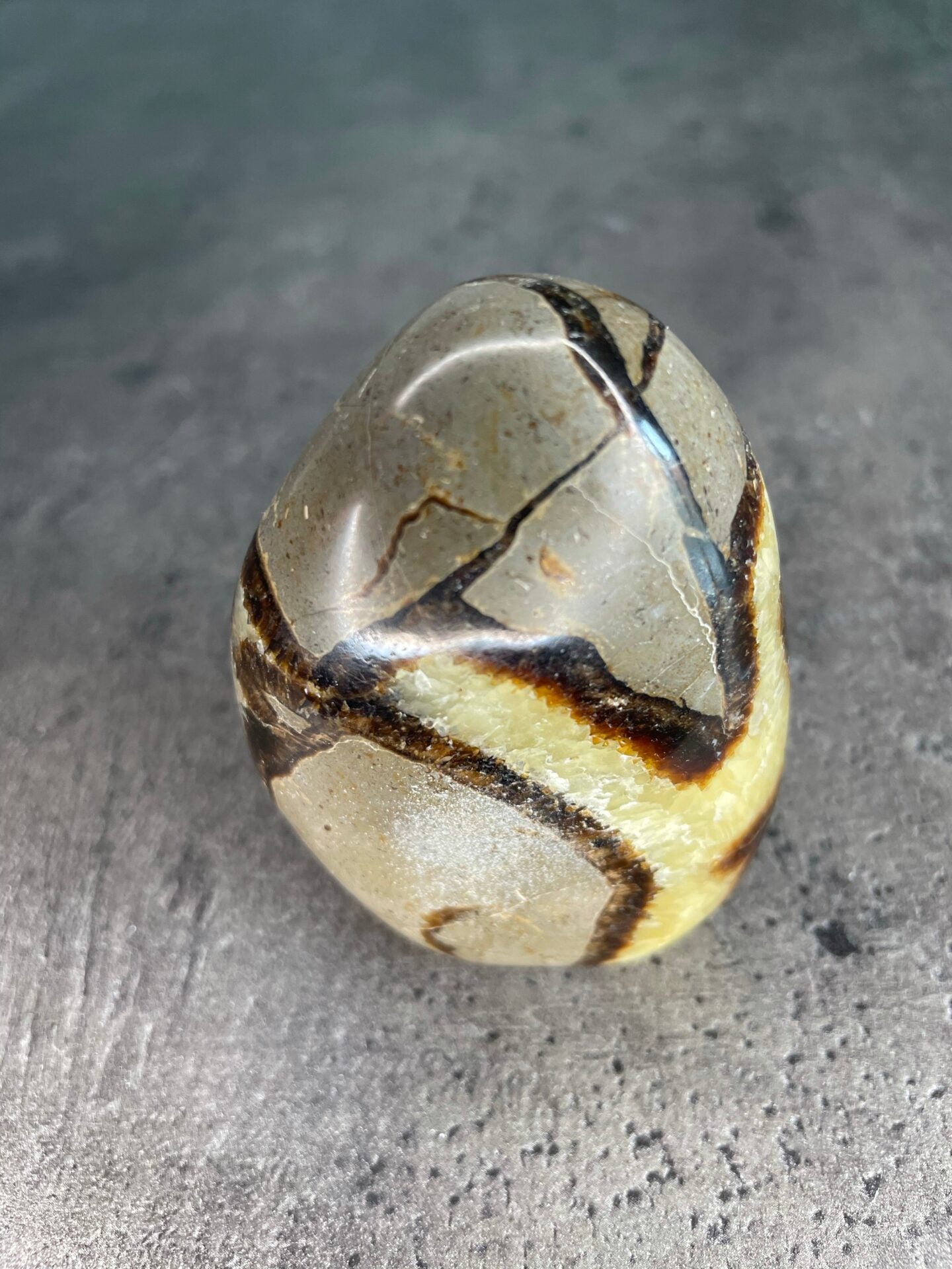 Septarian - Free form