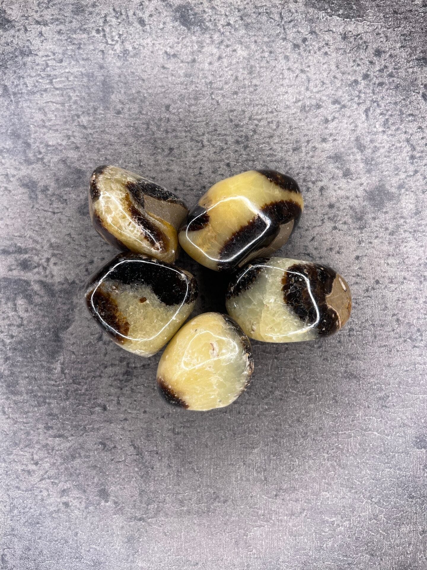 Septarian - Tumblestone