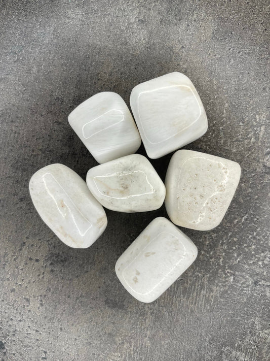 Scolocite - Tumblestone