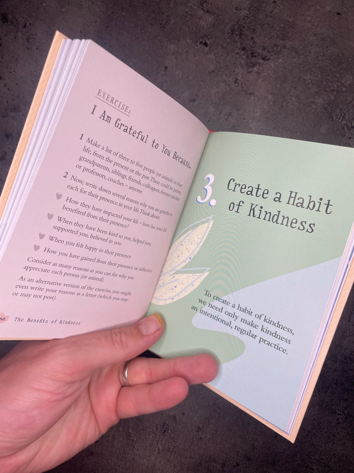 The Little Book of Kindness