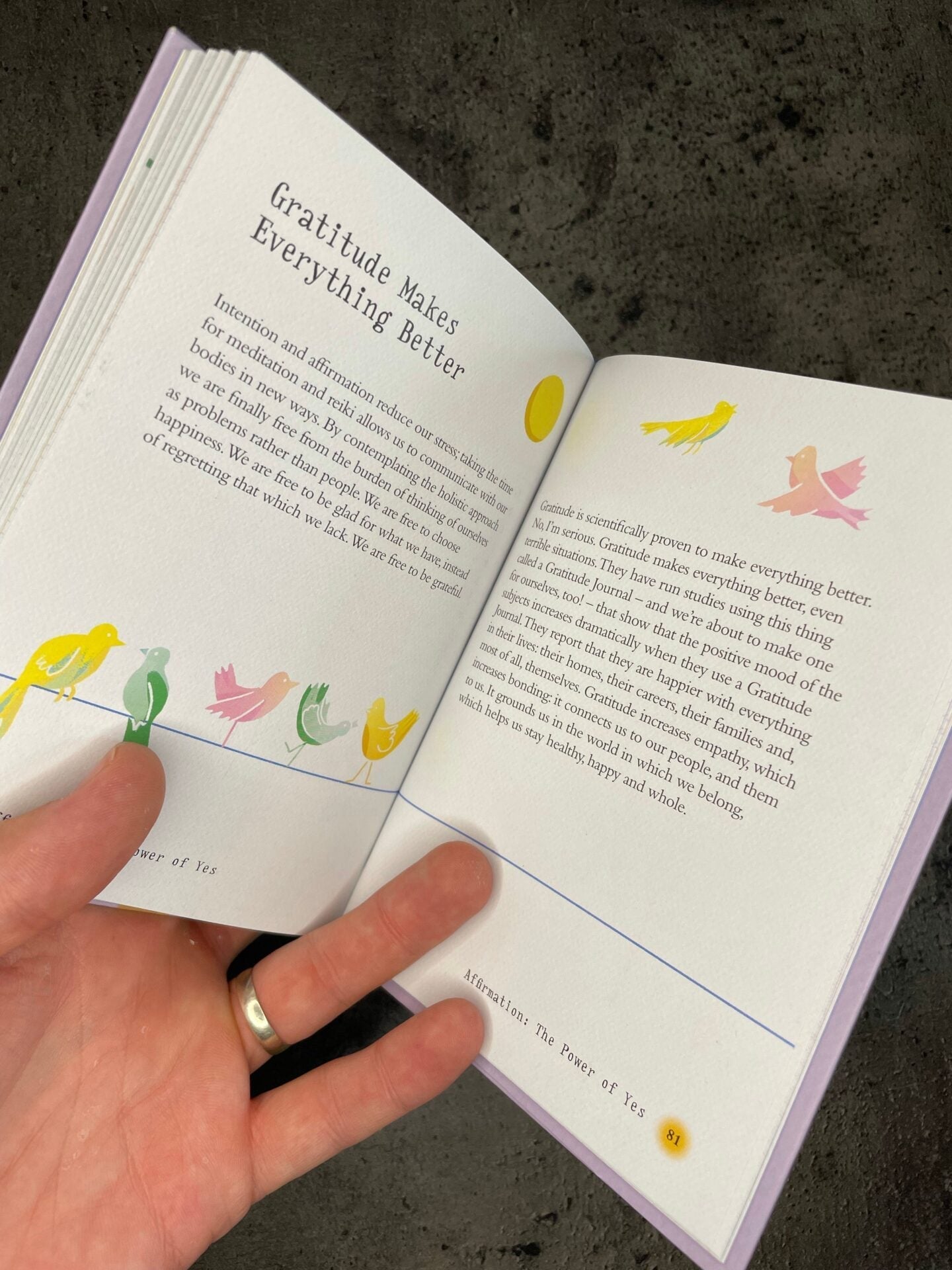 The Little Book of Reiki