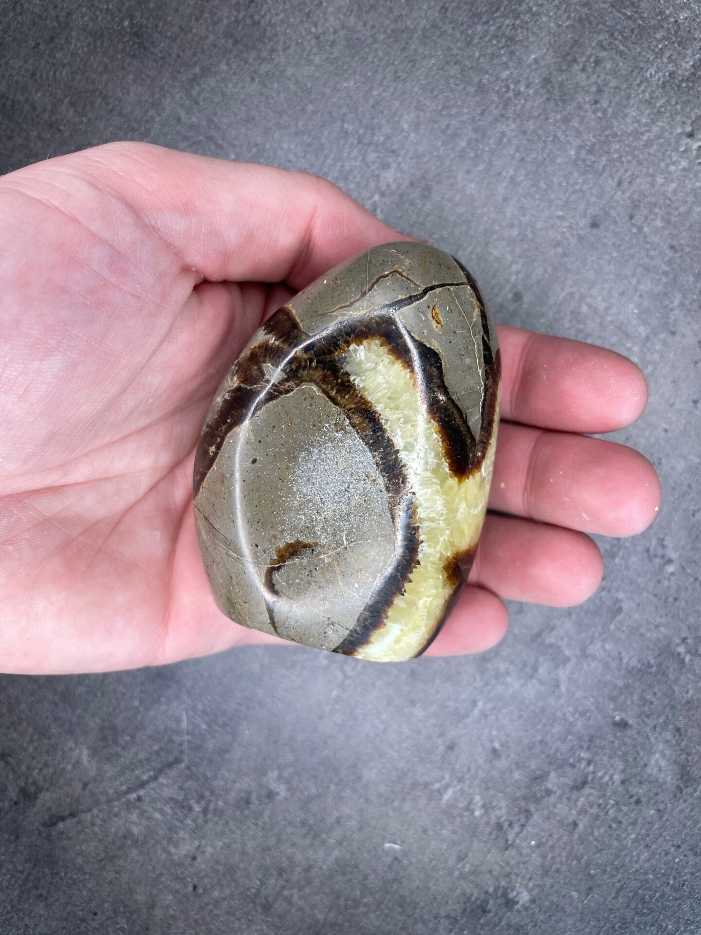 Septarian - Free form