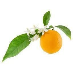 Neroli Light 10ml| Herbs on the Hil l